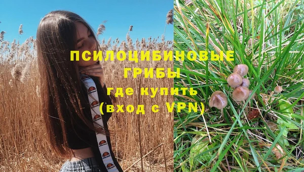 каннабис Галич