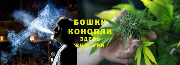 PSILOCYBIN Алзамай