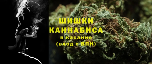 PSILOCYBIN Алзамай