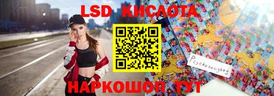 прущие грибы Гатчина