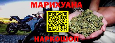 прущие грибы Гатчина