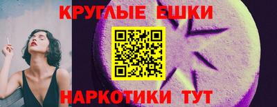 прущие грибы Гатчина