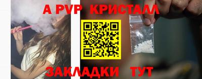 прущие грибы Гатчина