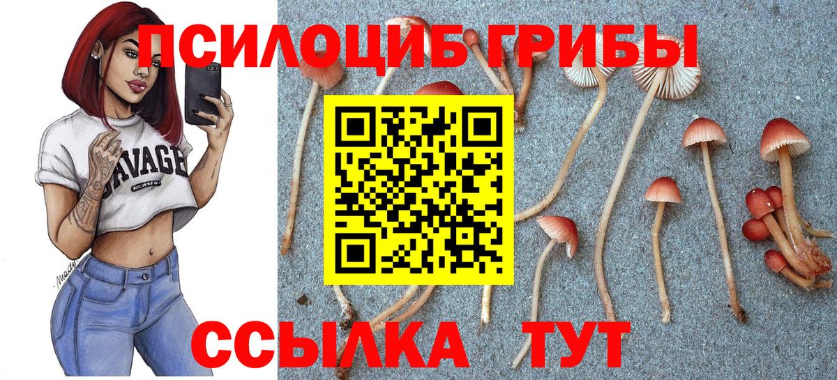 Псилоцибиновые грибы мицелий Луга